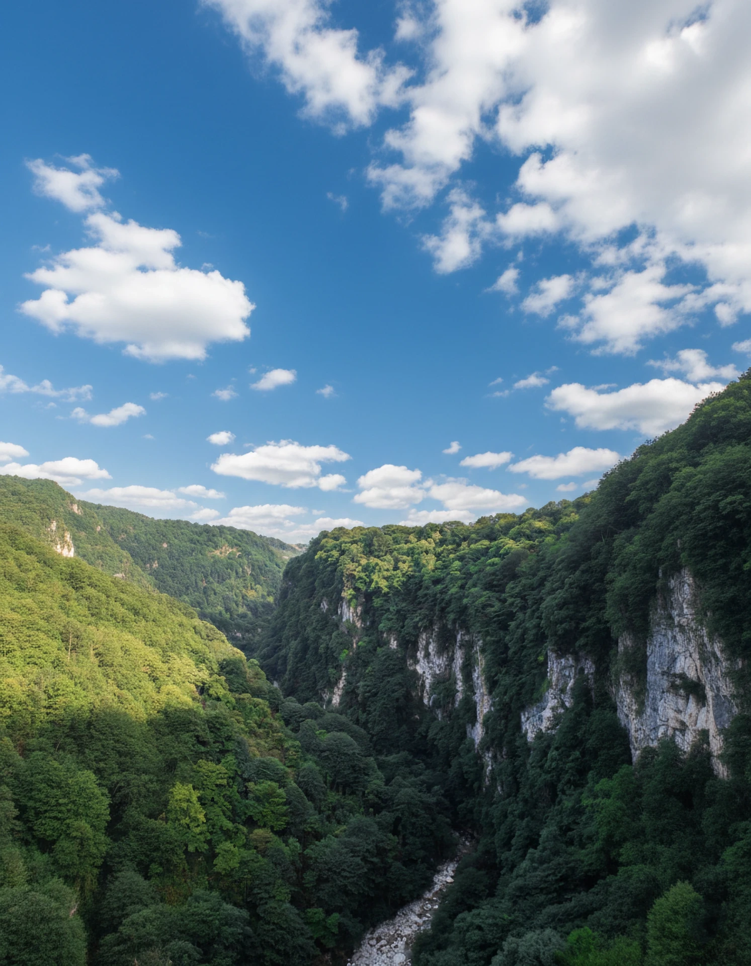 Локации для свадебной церемонии в Боржоми